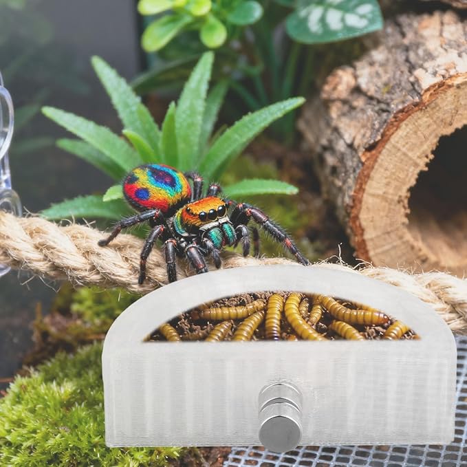 5pcs Jumping Spider Feeding Dish Kit, Magnetic Half Round Jumping Spider Food Feeder Water Bowl Dispenser Leak-Proof Enclosure Accessories Hide Decor for Tarantula Mantis Small Reptiles