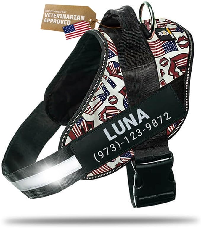Personalized Dog Harness with Custom Name Patches, Adjustable Reflective No Choke Dog Vest with Handle for Small Dogs and Growing Puppy, USA, XS