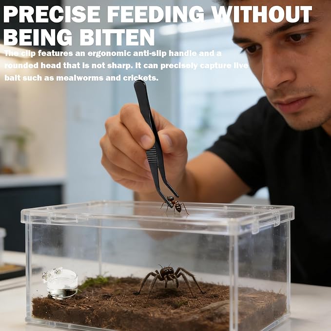 Jumping Spider Feeding Dish,Jumping Spider Food Dish,Decorative Magnetic Plastic Water Bowl and Tweezers, Jumping Spider Enclosure Accessories Magnetic Water Bowl Easy to Install