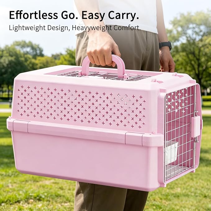 RIZZARI Pet Travel Carrier, 22" Hard Kennel for Cats & Small Dogs | Strong Wire Door,Comfortable Transport,Reliable Lock Design,Ventilated Side Panels,Lightweight Structure,Easy Daily Care