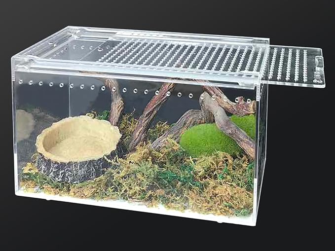 Reptile Terrarium Enclosure 10" x 6" x 6" Acrylic Tarantula Breeding Box Magnetic Hermit Crab Habitat Transparent Jumping Spider Cage for Insect Snail Amphibians Sling Isopods