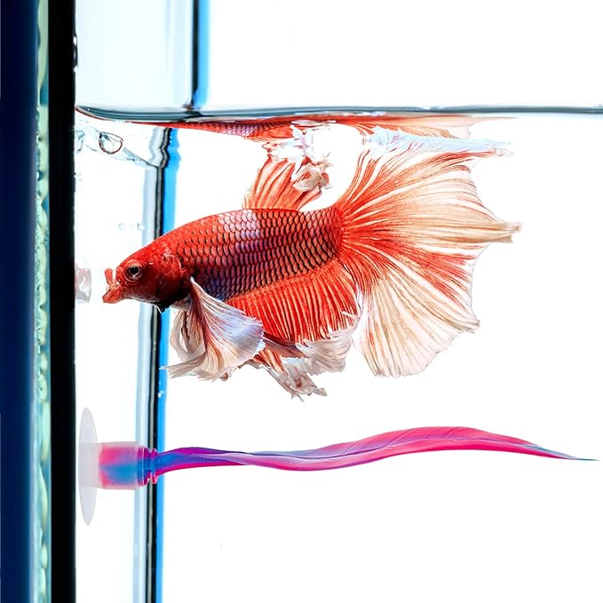 WILLBOND 2 Pcs Pink Silicone Betta Fish Bed Leaf Hammock Betta Fish Tank Accessories Decorations for Aquarium Ornaments, Practical Resting Spot, Comfortable and Safe