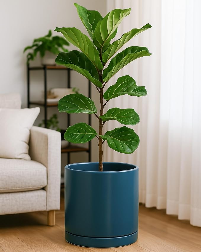 D'vine Dev 12 Inch Ceramic Planter Pot, Teal, 94-O-F-9 | Modern Cylinder Design, Drainage Hole & Saucer Included, Stable Structure, Elegant Home Accent