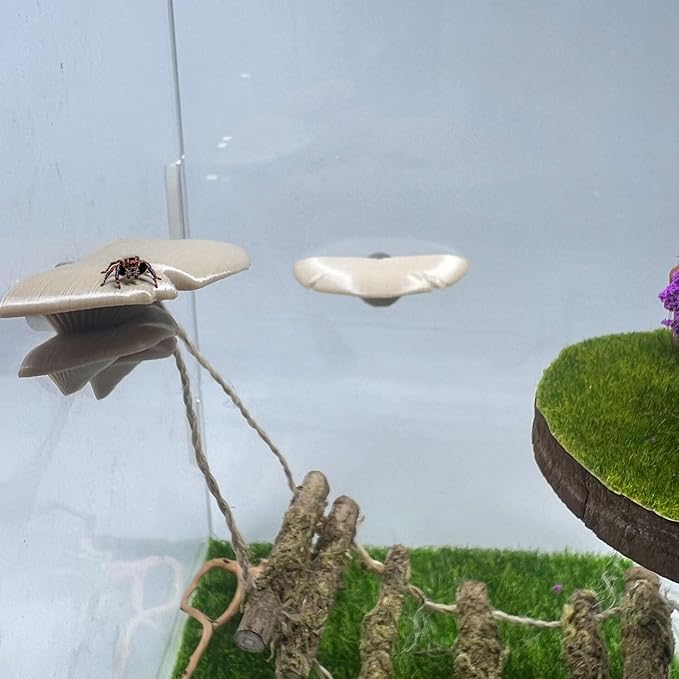 Jumping Spider Mushroom Shelf, Magnetically Concealed Jumping Spider Habitat,Serves As Enclosure Decorate Accessories for Spider Climbing Feeding and Platforms (Simulated wood)