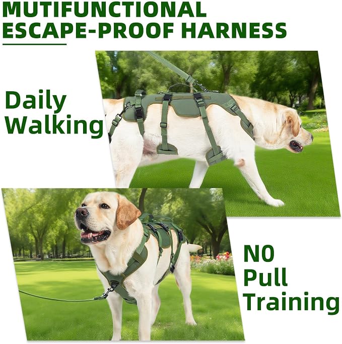 PUPTECK Dog Lift Harness for Medium Large Sized Dog, Rehabilitation Sling for Hind Leg Support, Multifunctional Mobility Assistance Harness for Old, Disabled, Joint Injuries, Paralysis Dog, Green XL