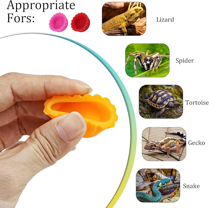 10 Pack Colorful Crested Gecko Feeding Dishes Reusable Small Reptile Food and Water Bowls Accessories for Cresteds, Tortoises, Crabs, and Small Pets10 Colors