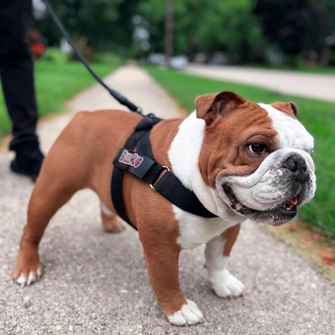 Adjustable Dog Harness– No Pull, No Choke – for English Bulldogs, French Bulldogs, Pugs & Broad-Chested Breeds – Easy, Safe Walks (Black, Large)