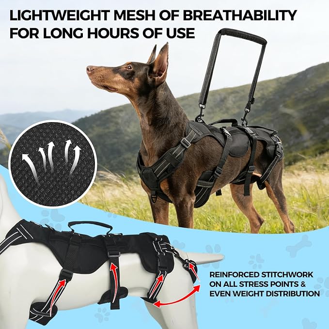 BINGPET Dog Lift Harness for Medium Dogs, Full Body Adjustable Handle Sling | Reflective Lifting Harness Rehabilitation Sling Carrier with Soft Padded Handle, Mobility Assistance Vest for Senior Pets