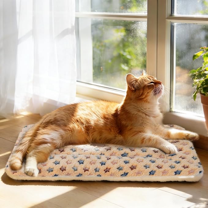Mora Pets Cat Bed Ultra Soft Dog Crate Pad Star Print 14 x 17.5 inch Brown | Washable Crate Mat for Small Dogs and Indoor Cats, Reversible Fleece Dog Kennel Pad, Flat Pet Bed, Cat Carrier Mat