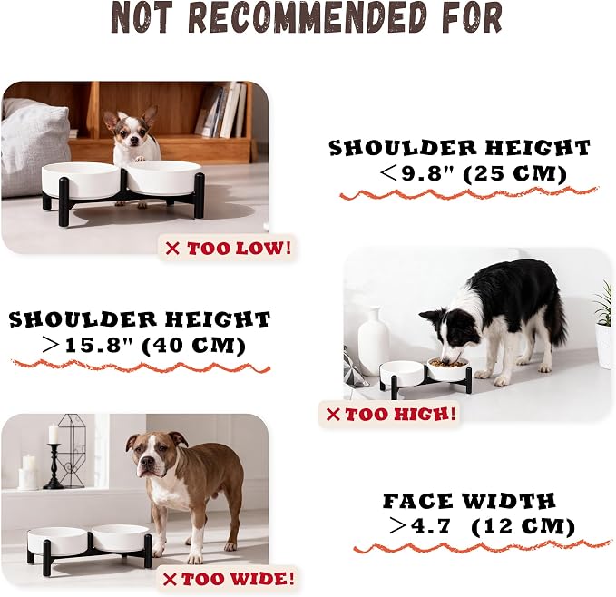 Raised Ceramic Dog Bowl Set with Stand, 2.1 Cups Elevated Dog Food Stand | 6'' Double Dog Food and Water Bowl Set, Non-Slip Dog Feeding Dishes for Small Breeds and Cats, 14 OZ, White