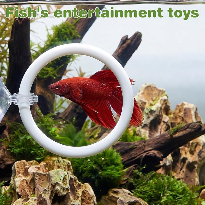 Molain Betta Fish Enrichment Toys, Betta Fish Tank Accessories 2 Training Rings 1 Mirror with Floating Ball Plastic Aquarium Enrichment Toys Set for Fishes Exercise Mental Stimulation