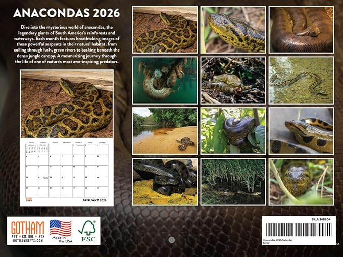Anaconda Calendar 2026 Wall 12 Month Anacondas Gifts For Snake Lovers Women Men Monthly Calender| American Made In The USA