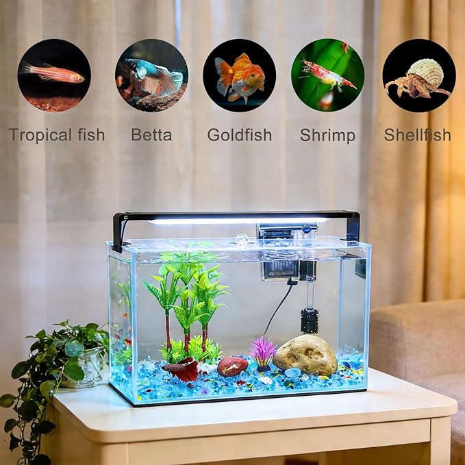 3.2 Gallon Fish Tank, Nano Nature Aquarium Kit,Small Aquarium Starter Kit,Ultra-Clear Rimless Desktop Small Aquarium with Filter and Light for Betta,Shrimp,Goldfish.Clear Glass