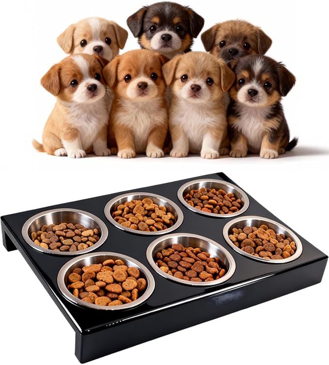 Puppy Feeding System 6 Litter Multiple Dog Bowl Feeder with Metal Stand Puppy Feeder Station, Weaning Dish Puppy's Feeding Ideal for Breeders, Litters & Weaning