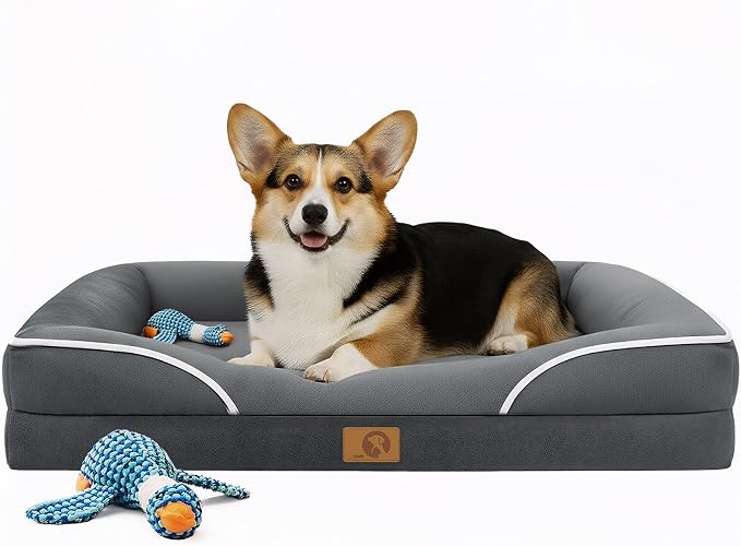 Homemate Dog Bed Large Sized Dog: 36"x27" Orthopedic Pet Bed with Toy | Large Dogs Bed with Non-Slip Botton & Removable Washable Cover Cat Bed Sofa L Outdoor Crate Pad Couch Dark Grey