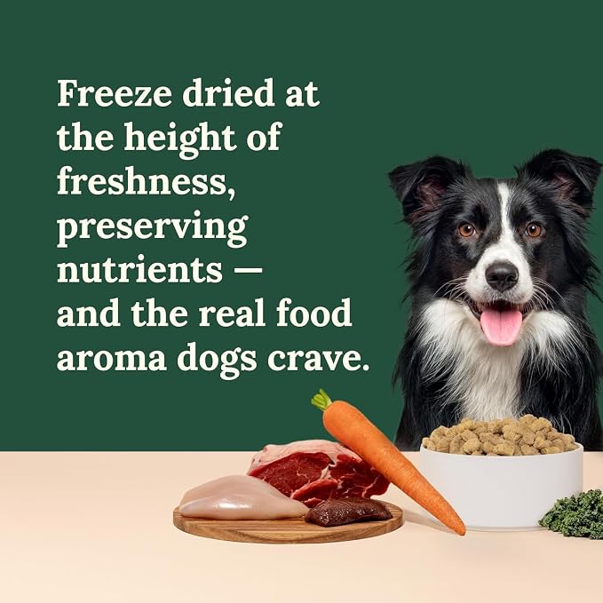 360 Pet Nutrition Freeze-Dried Raw Dog Food – Multi-Protein with Beef, Chicken, Fish, Liver & Organs, High Protein Omega-3s Fruits Veggies & Superfoods Grain-Free, No Fillers, 6 x 5 oz – Made in USA