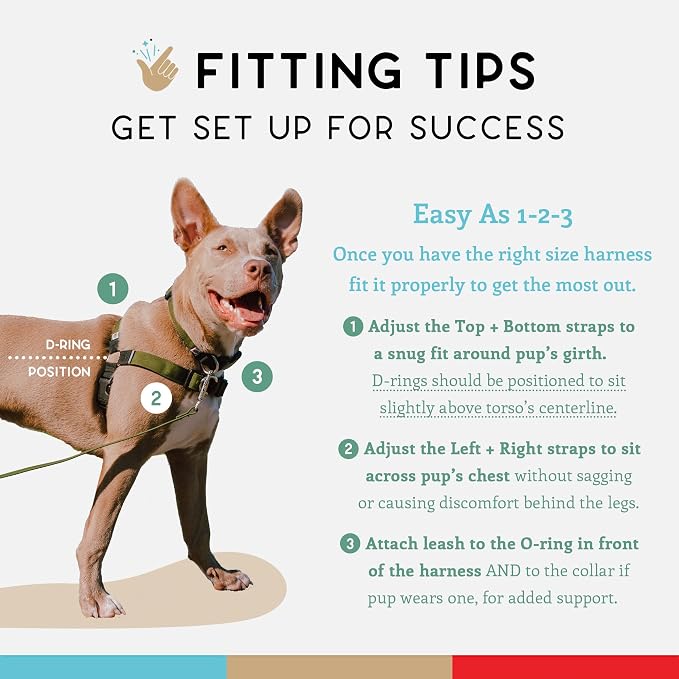 No Pull Dog Harness | Comfortable Training Harnesses | Effective No Pull Harness Design | Ideal for Small Dog and Puppy | 4-Point Adjustable (S - 18~24 inch Girth, Olive)