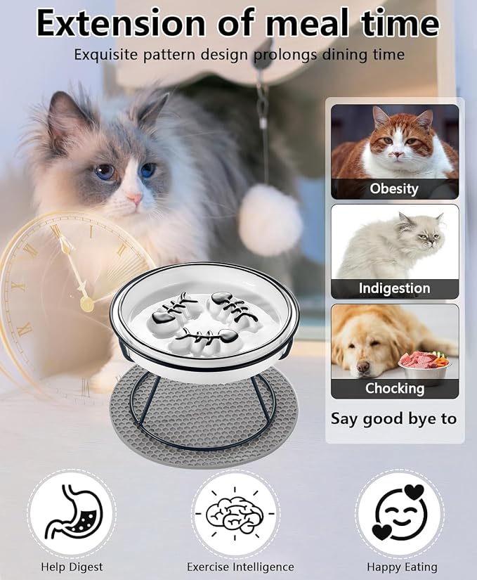 Ceramic Elevated Cat Bowls Set, Anti Vomit, Removable Dishes, Black 2-Pack | Removable Ceramic Bowls Elevated Anti Vomit Food & Water Feeding Black 2-Pack