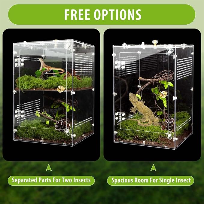 Acrylic Jumping Spider Enclosure with Removable Divider – 12"*8"*8" Large Reptile Terrarium for Praying Mantis, Arboreal Tarantula, Snails, Lizard, Gecko, Secure Habitat with Front Door & Top Lid