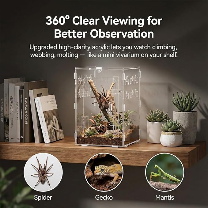 Tarantula Enclosure 8x8x12 Acrylic Terrarium: Front Opening Jumping Spider Enclosure with Door Lock for Crested Gecko Hermit Crab - All-Side Ventilation Arboreal Frog Habitat Gift for Reptile Hobbyist