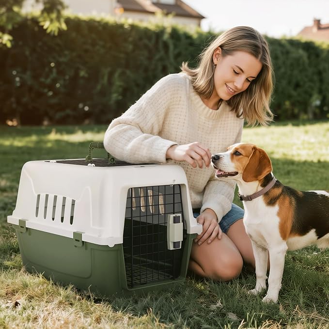 Magshion 22 Inch Hard-Sided Dog Cat Carrier, Green | Top and Front Door Access, Plastic Dog Kennel for Longer Traveling, Durable Handle and 4 Sides Ventilation, For Pet Up 26 lbs