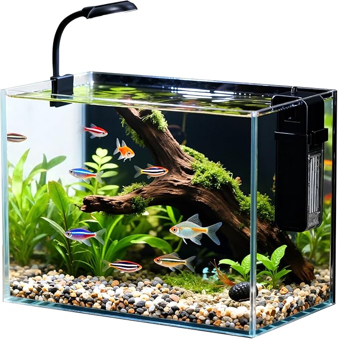 2.5 Gallon Small Fish Tank, Nano Aquarium with Ultra-Clear Glass, LED Light, Filter, Lid, Gravel and Rock, Desktop Beta Fish Aquarium Perfect for Shrimp, Snails or Live Plants