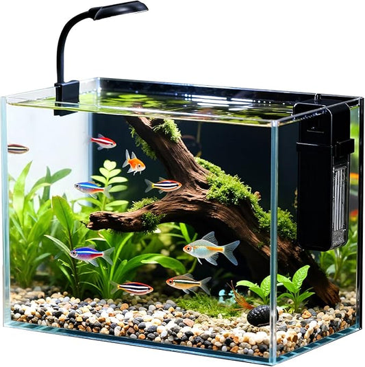 2.5 Gallon Small Fish Tank, Nano Aquarium with Ultra-Clear Glass, LED Light, Filter, Lid, Gravel and Rock, Desktop Beta Fish Aquarium Perfect for Shrimp, Snails or Live Plants