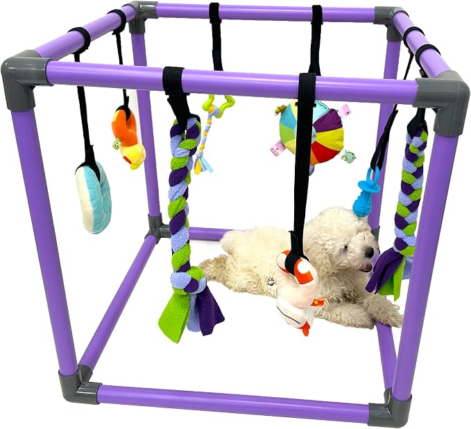 Puppy Play Gym for small dogs with 8 Hanging Interactive Toys Indoor Play | Funny Enrichment Jungle Playground to Keep Them Busy，with Bungee Straps for self-play,19.5*19.5*19.5in