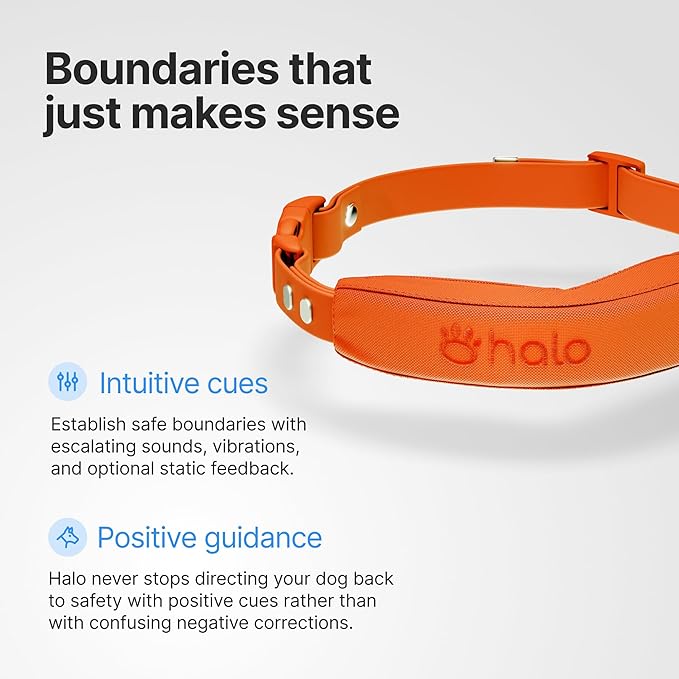 Halo Collar 5 Wireless Dog Fence & GPS Dog Collar, Keep Your Dog Safely Contained Outdoors with App-Controlled Boundaries and Real-Time Tracking, One Size, Realtree Camo