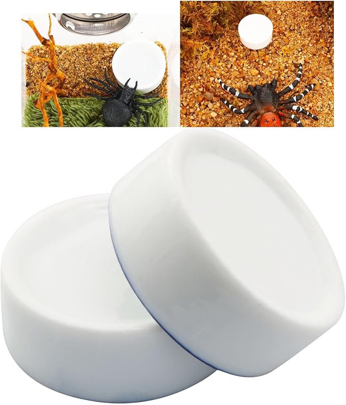 4PCS Small Animal Food Bowl Size 4 35x13mm Mini Ceramic Water Dish Cricket Feeding Dish for Tarantulas Scorpions Snails Mantis Micro Reptile Food Bowl