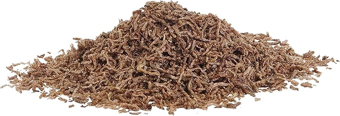 Aqueon Betta Treat .175 Ounces