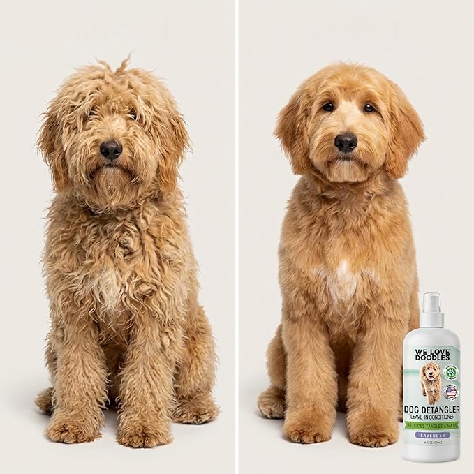Small Slicker Brush & Lavender Detangler Spray Pack, Dog Grooming at Home | Best Brush For Long Haired Dogs, Dematting Comb & Detangling Spray For Goldendoodle Coats, Puppy Matting Grooming Supplies