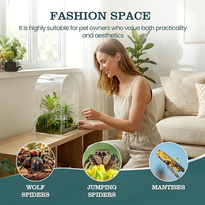 Acrylic Jumping Spider Enclosure, Clear Spider Enclosure Kit with Ventilation, Pre-Assembled Habitat for Jumping Spiders, Tarantula, Mantis, Insects