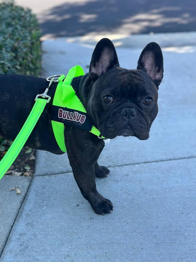 Adjustable Dog Harness– No Pull, No Choke – for English Bulldogs, French Bulldogs, Pugs & Broad-Chested Breeds – Easy, Safe Walks (NEON Green, Large)