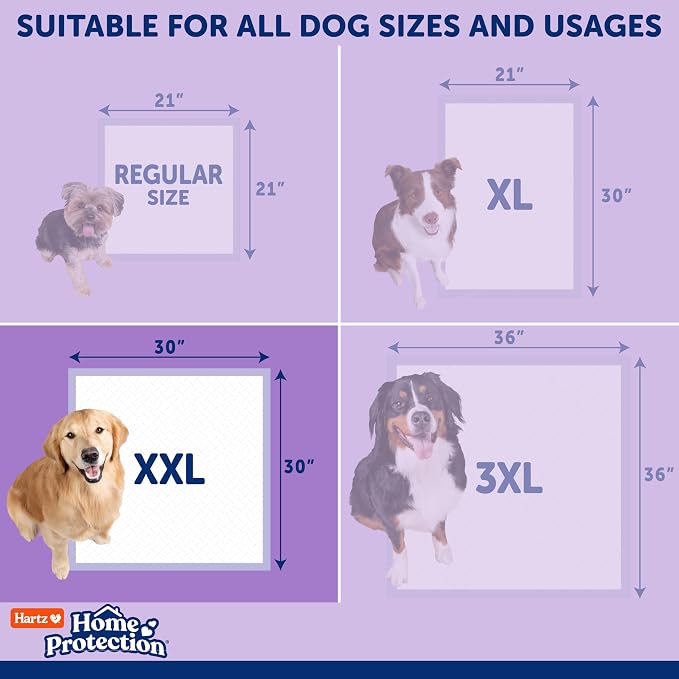Hartz Home Protection Super Absorbent Odor Eliminating Lavender Scented No Leak Dog Pads, XXL 20 Count (Pack of 3)