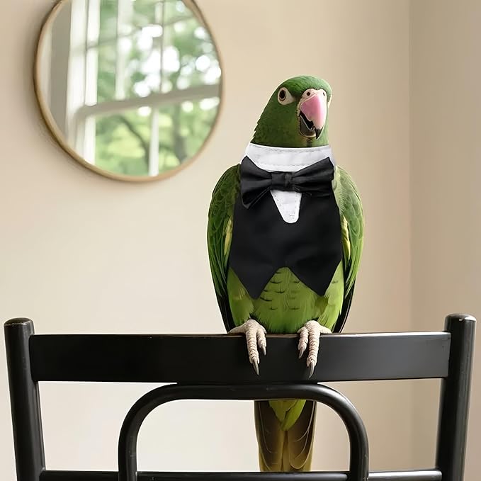 Bird Clothes, Parrot Tuxedo Costume, Flights Suits - Black Formal Outfit Bird Cosplay Photo Prop for Eclectus, Budgerigar, African Greys Parakeet, Conure, Cockatiel, Love Birds,L