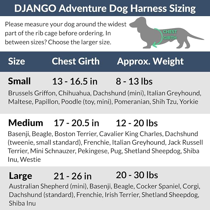 Adventure Dog Harness - Stylish and Comfortable Small Dog Harness for Outdoor Adventures and Everyday Wear - Black Neoprene Adjustable Harness for Dogs with Reflective Piping and Brass D-Ring