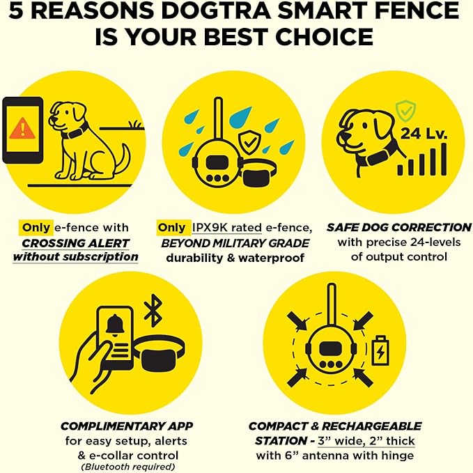 Dogtra Smart Fence Additional Receiver Only (Orange) - Expand to 2 Dogs, Requires Control Station, Wireless Electric Dog Fence System, No Subscription, 2-Tier Alarm, Tone/Vibration/Static, 35 lbs+