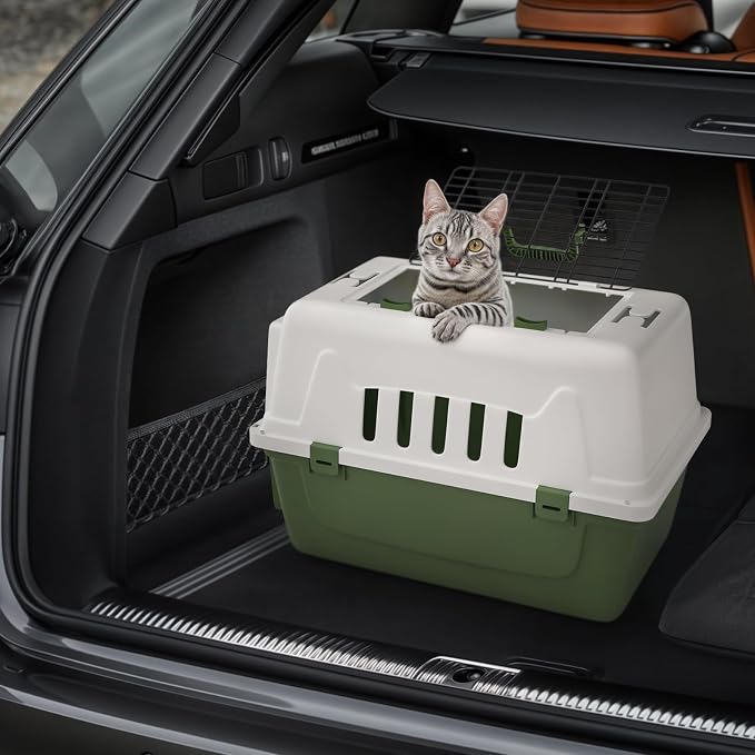 Magshion 22 Inch Hard-Sided Dog Cat Carrier, Green | Top and Front Door Access, Plastic Dog Kennel for Longer Traveling, Durable Handle and 4 Sides Ventilation, For Pet Up 26 lbs