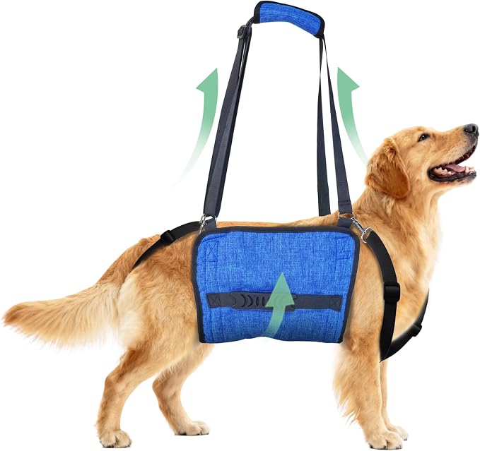 Adjustable Dog Lift Harness, Dog Carry Sling Provides Rear Leg Support for Senior Dogs, Arthritis and After ACL Surgery Dogs,Suitable for Medium to Large Dogs,Blue XL