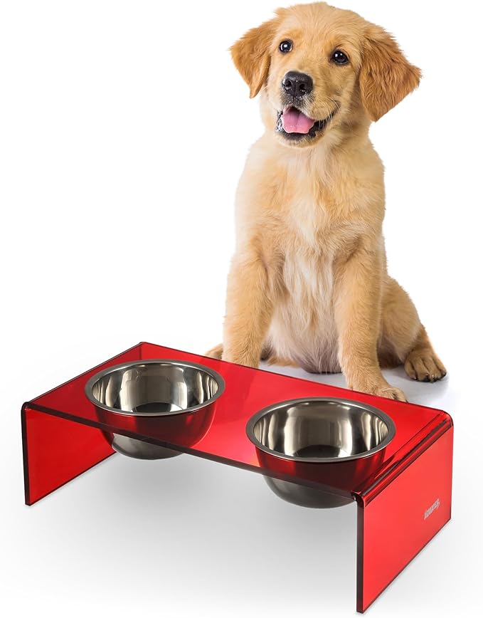 DBL2000H Keaton 5" Small/Medium Modern Acrylic Rectangular Elevated Pet Feeder with 20oz 2-Stainless Steel Bowls, Red/Chrome