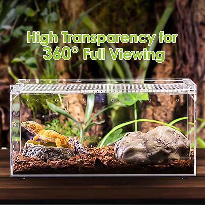 Reptile Terrarium Enclosure 10" x 6" x 6" Acrylic Tarantula Breeding Box Magnetic Hermit Crab Habitat Transparent Jumping Spider Cage for Insect Snail Amphibians Sling Isopods