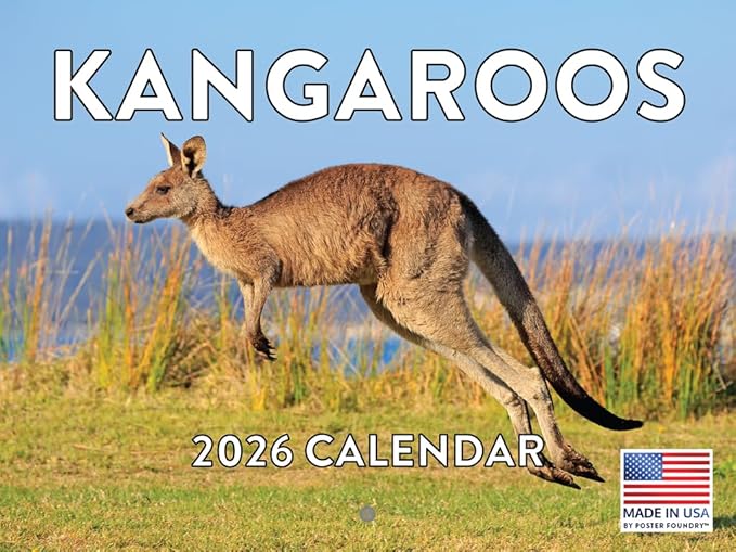 Kangaroo Calendar 2026 Monthly Wall Calender 12 Month | American Made In The USA