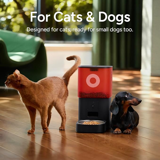 Automatic Cat Feeder with Camera: 6L Automatic Dog Feeder with 2-Way Audio Night Vision Dual Power Supply App Control 2.4G WiFi, Timed Auto Cat Food Dispenser with Stainless Steel Bowl(Black)