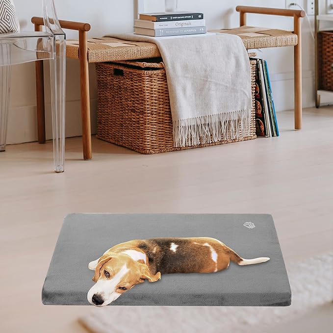 EMPSIGN Dog Bed Mat Crate Pad Mattress, Ultra Soft Pet Kennel, Grey, Small | Reversible(Cool & Warm), Waterproof Linings, Removable Machine Washable Cover, for 24" Dog Crate, Firm Support