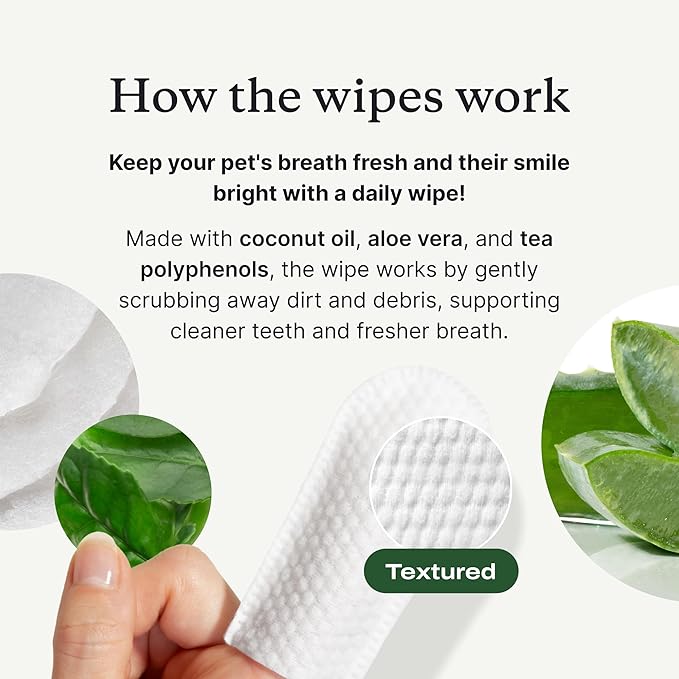 PetLab Co. Dental Finger Wipes - Easy to Use Dog & Cat Teeth Cleaner - Freshens Breath & Provides A Thorough Clean – Supports Overall Oral Hygiene – Alcohol & Fragrance Free - Packaging May Vary