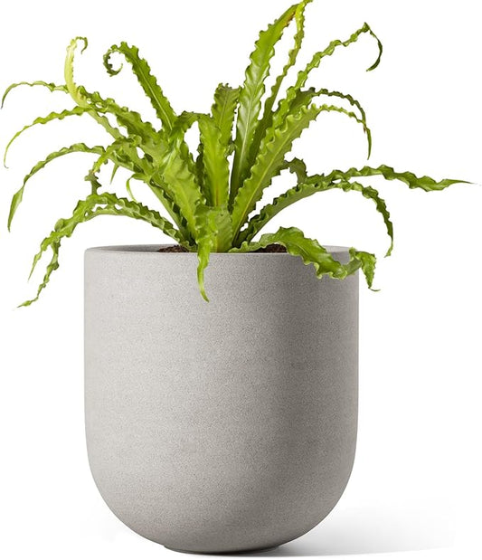 LE TAUCI 6 Inch Plant Pot, Ceramic Planter for Herbs & Small Houseplants, Tabletop Indoor Pot for Shelf, Desk and Windowsill, Small Planter with Drainage Hole & Rubber Plug, Neutral Gray