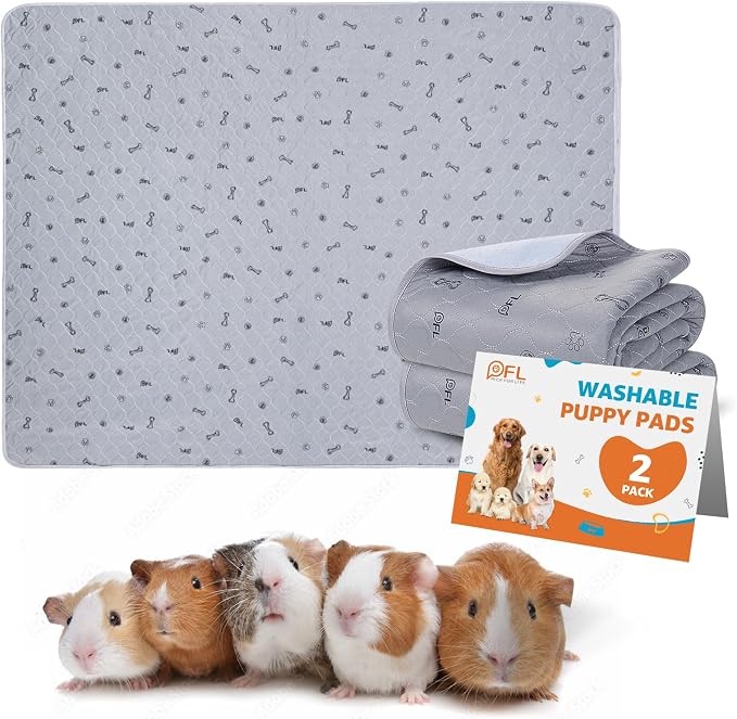 Washable Pee Pads for Small Pet, 2 Pack Reusable Pet Training Pads, 36x71 | Non-Slip, Absorbent Whelping Mats with Bone Print for Rabbit, Guinea Pig, Hamster, Puppy, Senior Dog Incontinence
