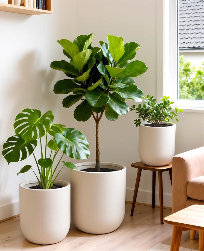 homenote Flower Pots 13/11.5/10 Inch,Large Plant Pots Indoor with Drainage,Plastic Pots for Plants,Garden Pots for Outdoor,Large Planters for Indoor Plants,Big Plastic Planter,White(3 Pcs)