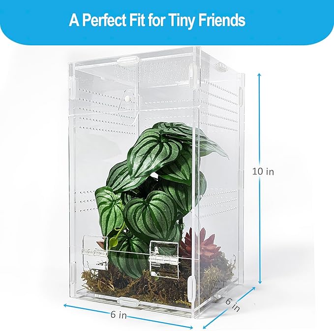Jumping Spider Enclosure 6”x6”x10”, Arboreal Tarantula Enclosure, Praying Mantis Terrarium Critter Cage for Jumping Spider, Tarantula, Mantis, Snail, Isopods, Beetles, Millipedes
